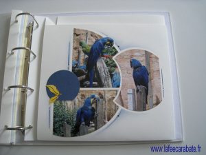 La fée Carabate - Page 60*60 pliée - Maxi Rond