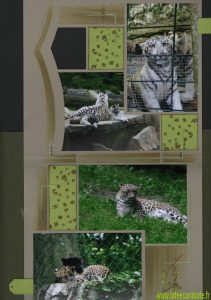 La fée Carabate - Page élève -Emilie