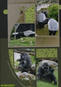 La fée Carabate - Page élève -Emilie